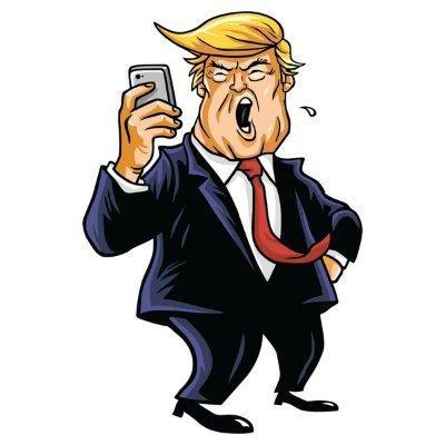 Trump Winner