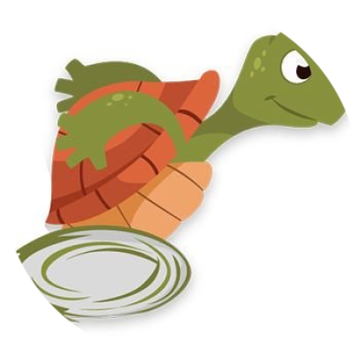 Turtle Fly
