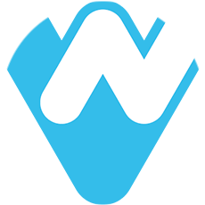 VINU Network