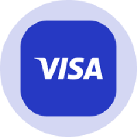 Visa Tokenized Stock (Ondo)
