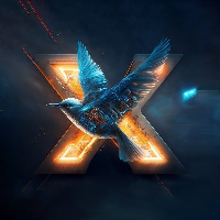 X
