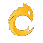 Cryptology logo