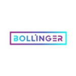 Bollinger Investment Group