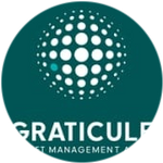 Graticule Asset Management Asia