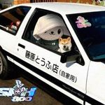 HypurrXBT
