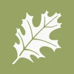 OakStone Ventures