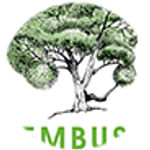 Tembusu Partners