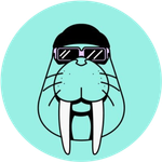 Walrus