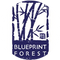 Blueprint Forest