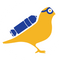 Canary