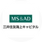 Mitsui Sumitomo Insurance Capital
