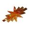 Sprinter