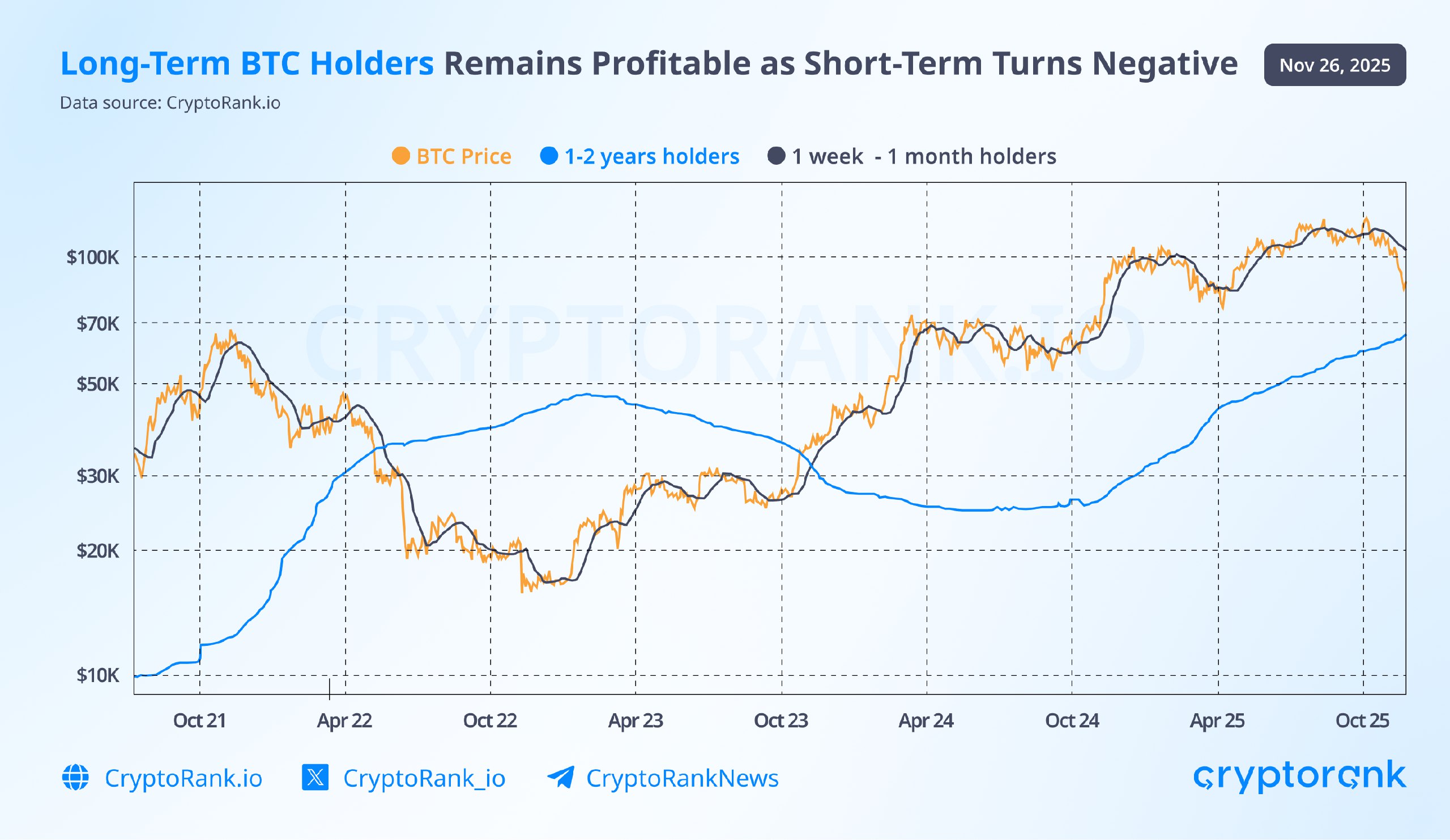 Long-Term BTC Holders Remain Profitable as Short-Term Turns Negative